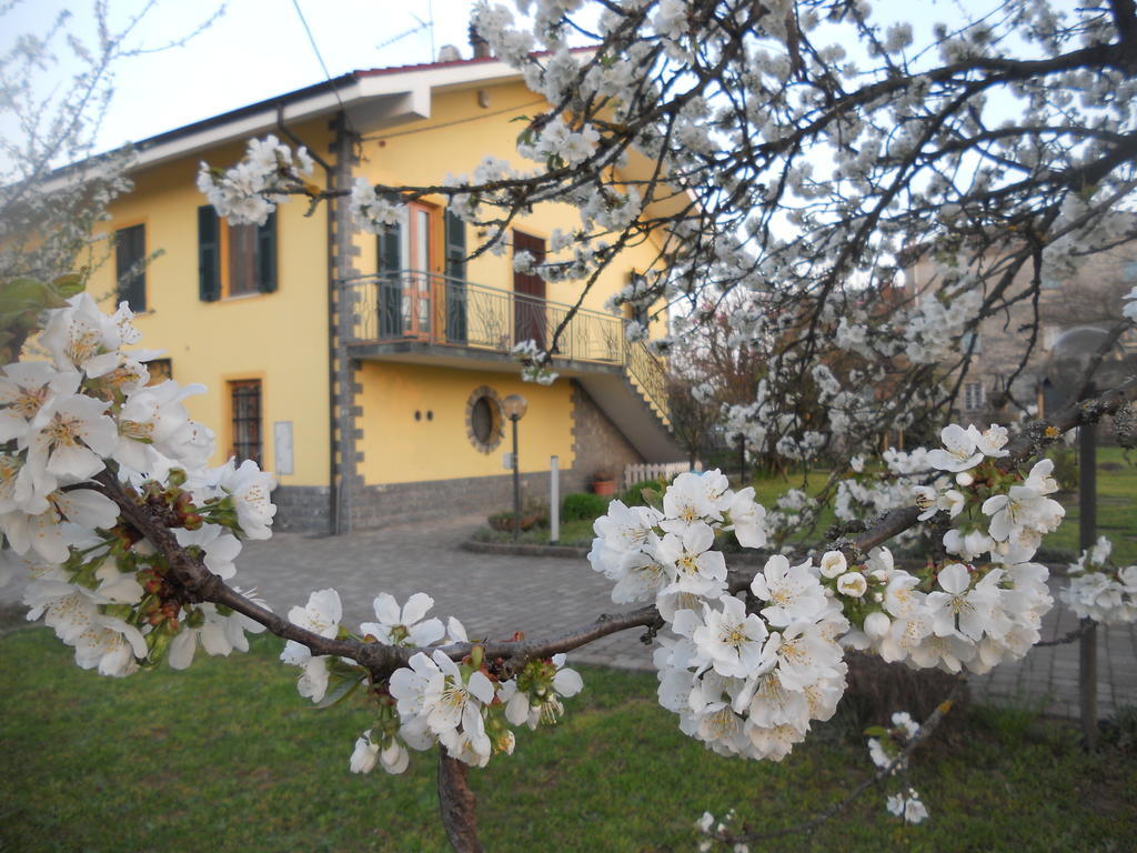 Rocca Grimalda B&B Pervinca المظهر الخارجي الصورة